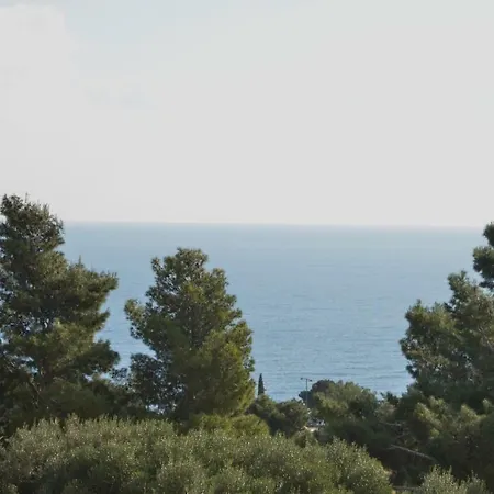 Stella Del Mare